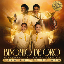 Cargar imagen en el visor de la galería, Vinilo Lp - Solo Éxitos de Oro Binomio de Oro &amp; Binomio de Oro de América
